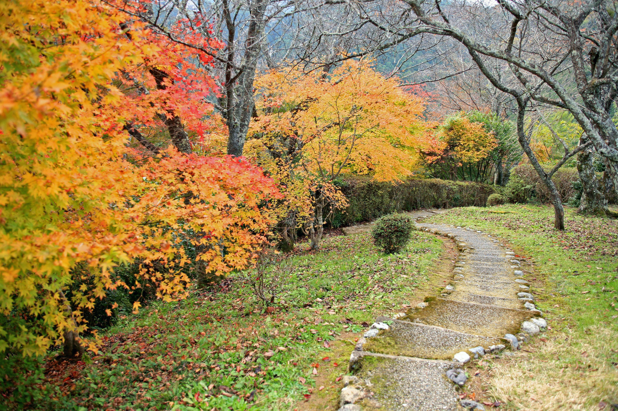 Chikurinin Gunpoen Hotel Yoshino  Bagian luar foto